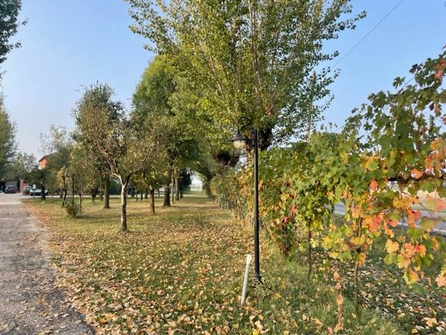 Photo 37