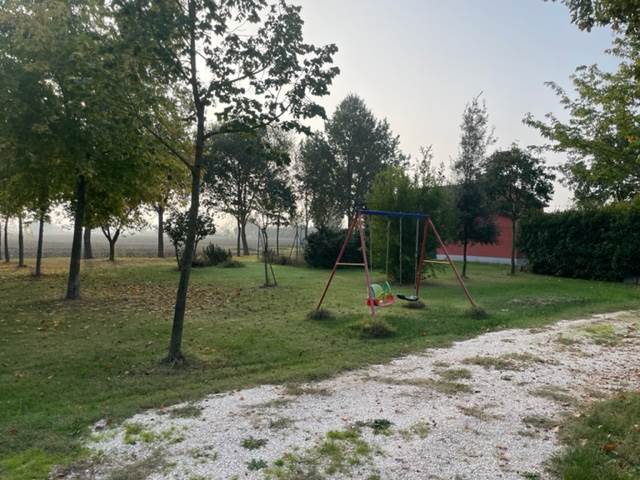 Photo 38