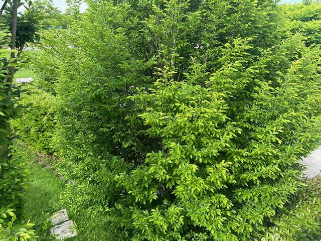 Photo 28